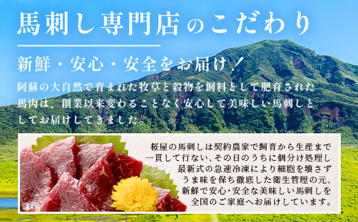 【定期便3回】熊本県 赤身 馬刺し 約200g×6回