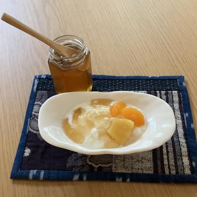 ふるさと納税 早川町 早川町産 日本ミツバチ100%純粋はちみつ200g |  | 02