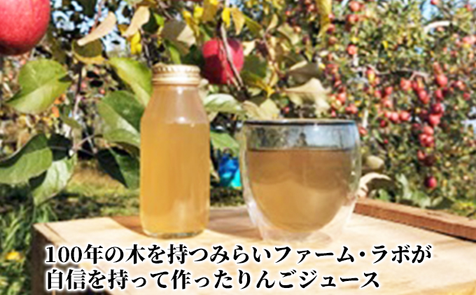 青森県弘前市産りんご果汁100％ ストレートりんごジュース ひろさきふじ 180ml×10本セット