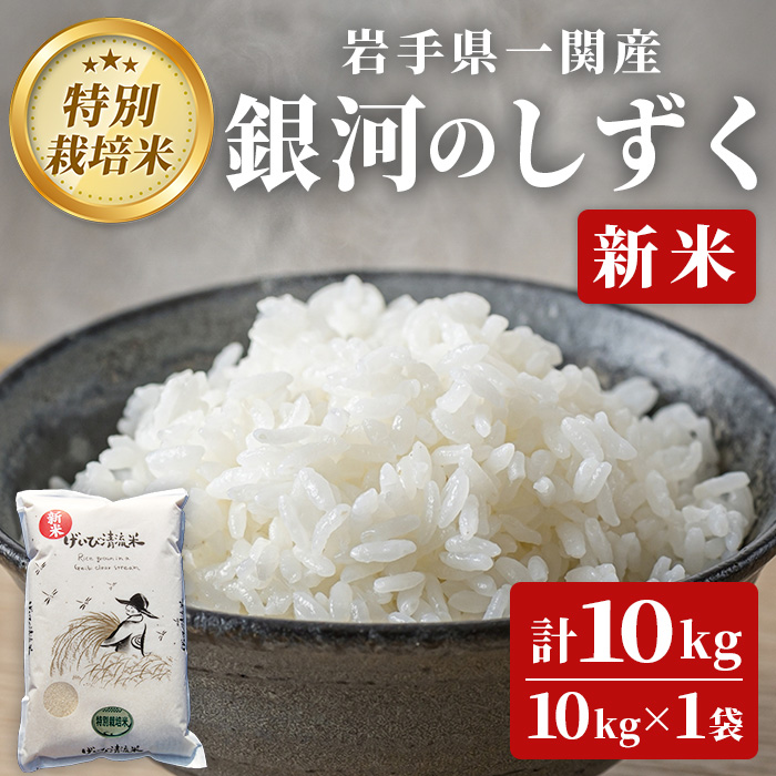 《 新米先行予約 》令和7年産 特別栽培 銀河のしずく 10kg(10kg×1袋) 清流が育んだお米 げいび清流米 岩手県産