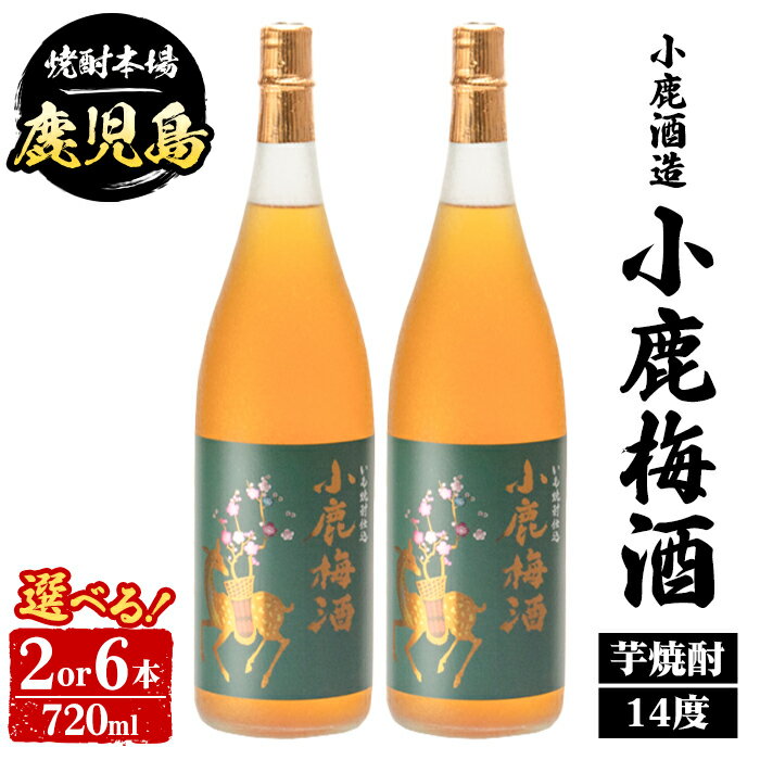【ふるさと納税】＜本数が選べる！＞ 小鹿酒造 小鹿梅酒 (720ml・2本 or 6本) 鹿児島 国産 酒 うめ アルコール 焼酎 芋焼酎 一升瓶 ロック お湯割り ソーダ割 飲み比べ 宅飲み セット ギフト 【株式会社きもつき未来商社そらまち】