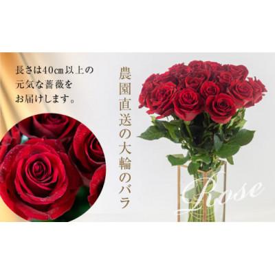 ふるさと納税 田原市 大輪のバラの花束 赤 30本 (40cm) |  | 02