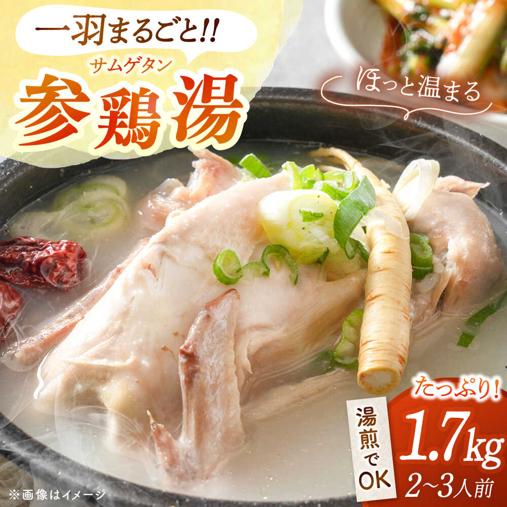 【ふるさと納税】参鶏湯（サムゲタン）1羽分 ▼ 参鶏湯 鍋 スープ セット 滋養強壮 優しい 人気 あっさり ヘルシー 鶏肉 簡単 便利 惣菜 レンチン アレンジ クッパ スタミナ にんにく お取り寄せ 美味しい 高品質 韓国料理 高評価 桂川町/マルマツ産業株式会社[ADAE002]