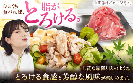 沖縄県産豚肉 もも切り落とし 約2.5kg (500g×5P) 豚肉 もも肉 冷凍 小分け 冷凍 国産 沖縄市 / 宮城ふぁーむ[BCAJ013]