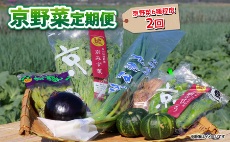 【野菜 定期便2か月】選りすぐり京野菜 旬の野菜定期便2ヶ月 野菜定期便