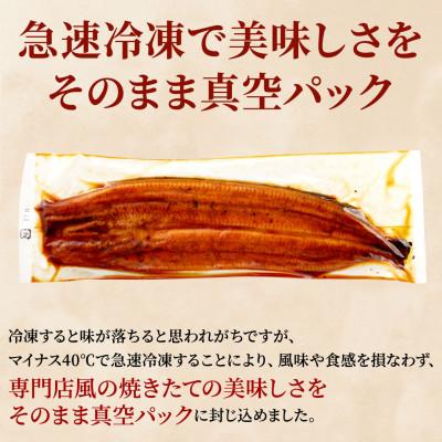 ふるさと納税 島田市 先行受付　【7月上旬より配送】　大五のうなぎ蒲焼　700g(140g×5尾)　国産うなぎ(中サイズ) |  | 02