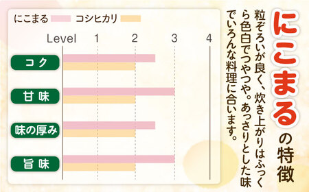 【12回定期便】 長崎県産 精米 にこまる 2kg 総計 24kg   / ふっくら 笑顔 お米 米 / 南島原市 / 大松屋商店[SDR012]