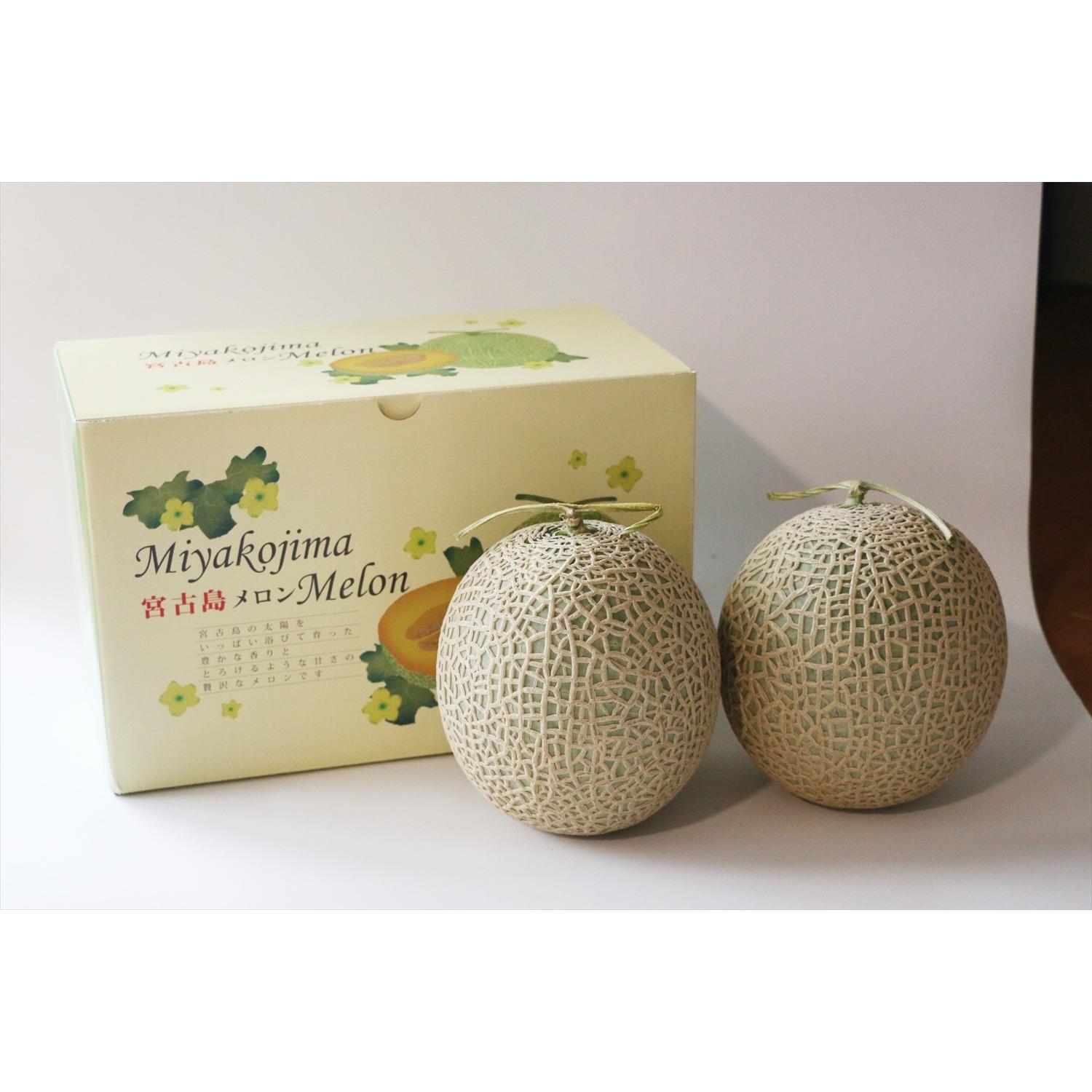 【ふるさと納税】沖縄県宮古島産 春メロン【大玉2玉】｜贈答用・高級果物・赤肉メロン(琉球マルシェ）