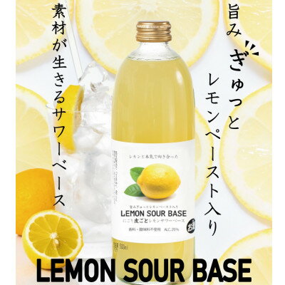 【ふるさと納税】にごり皮ごとレモンサワーベース ～あなただけのオリジナルサワーを～ 500ml×12本_ 濃厚 にごり カクテル サワー レモン ベース 天然水 仕込み 人気 おすすめ 送料無料 贈答 ギフト 【1285250】