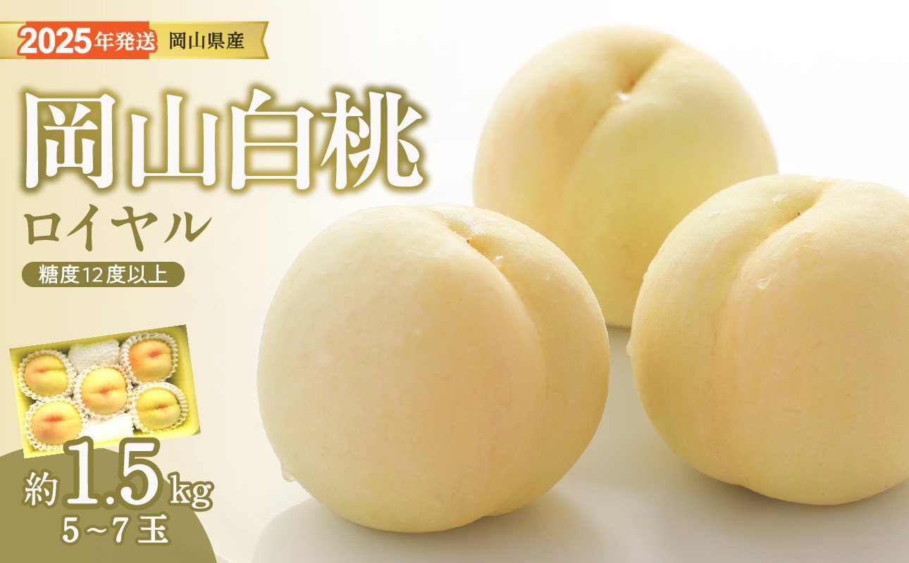 
            【2025年発送分 先行受付スタート】岡山県産 白桃 最高ランク！ロイヤル約1.5kg 5～7玉（令和７年7月以降発送）【 白桃ロイヤル フルーツ 果物 もも 桃 モモ 岡山県産 ロイヤル hzP-C 】
          