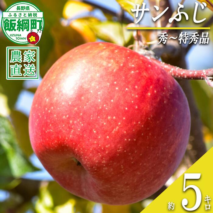 【ふるさと納税】 りんご サンふじ 秀 〜 特秀 5kg 丸西農園 沖縄県配送不可 令和8年度収穫分 特別栽培農産物 ( 除草剤 化学肥料 不使用 ) 長野県 飯綱町 〔 信州 果物 フルーツ リンゴ 林檎 長野 19000円 予約 農家直送 〕発送時期：2026年12月中旬〜2027年1月上旬