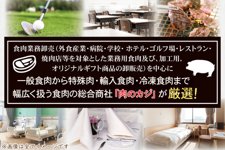ローズポーク 梅しそ味噌漬け 約500g (ロース200g,ヒレ300g)( 茨城県共通返礼品・茨城県産 ) ブランド豚 茨城 国産 豚肉 冷凍_CY069