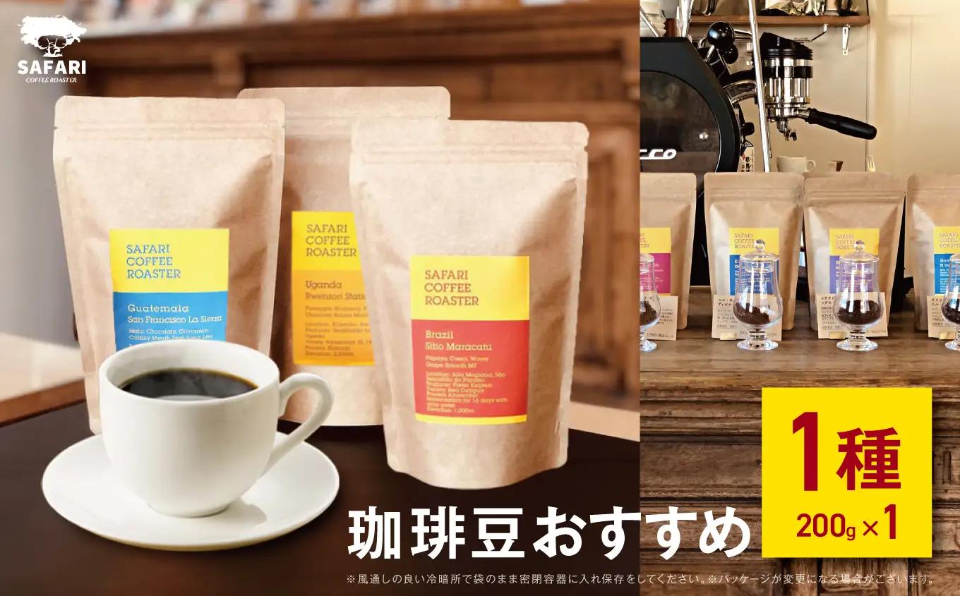 季節のおすすめ 珈琲豆 1種 (200g) | 珈琲 コーヒー 自家焙煎 コーヒー豆 季節 季節のコーヒー おうちカフェ 豆 大分県産 国産 大分県 中津市 
