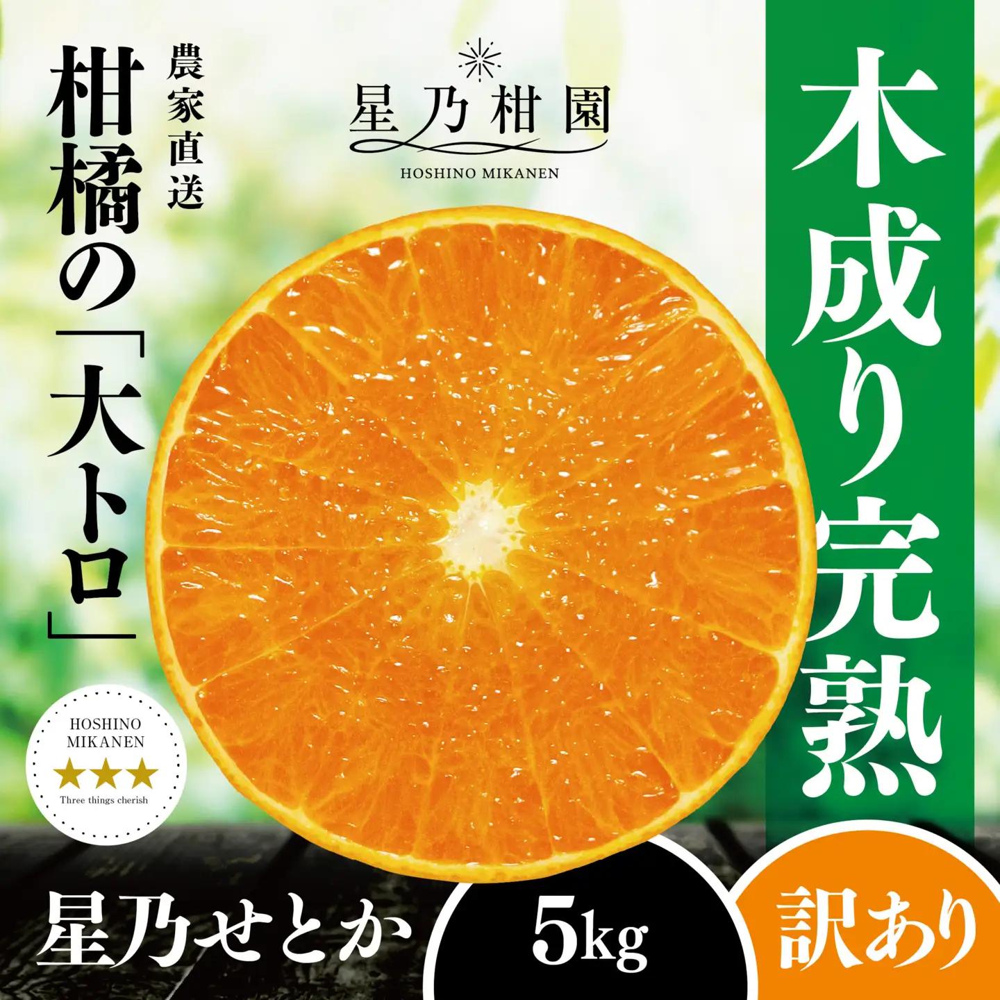 【先行受付】【訳あり】星乃せとか 柑橘の大トロ(5kg)【C45-97】【1650682】 YWTAZ059