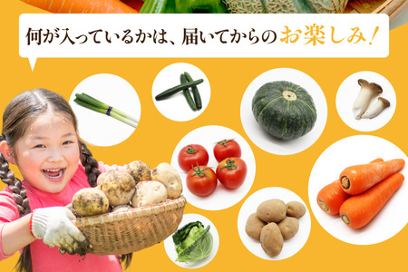 BF057 野菜 フルーツ 定期便3回 おまかせセット 野菜 フルーツ12～14品目 卵6玉