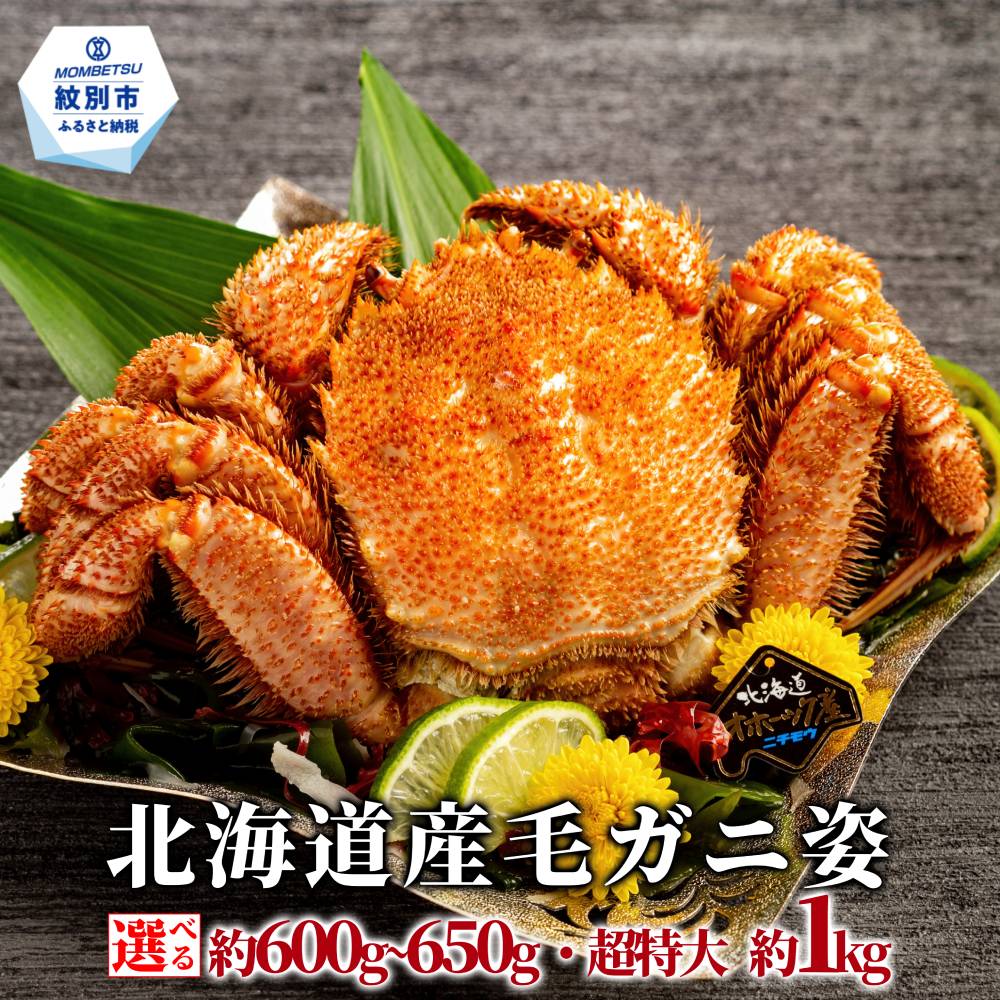 【ふるさと納税】北海道産 毛ガニ | ボイル 毛ガニ 毛蟹　毛がに カニ かに 蟹 かに姿 姿 選べる 超特大 紋別市 紋別 アザラシ