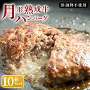 【ふるさと納税】【添加物不使用】月形熟成牛ハンバーグ 10個セット　【 お肉 肉料理 肉の加工品 洋食 惣菜 黒毛和牛 赤身 熟成赤身肉使用 肉本来の旨み さっぱり ヘルシー 】