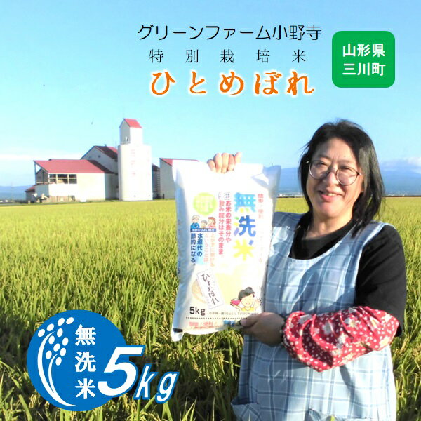 【ふるさと納税】グリーンファーム小野寺の【無洗米】ひとめぼれ5kg（グリーンファーム小野寺）