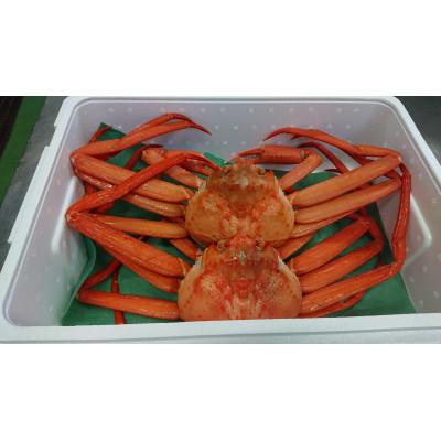 ふるさと納税 富山県 紅ズワイガニ600g×2ハイ