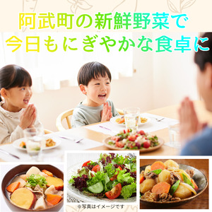 旬野菜 詰め合わせセット おまかせ 阿武町産 産地直送