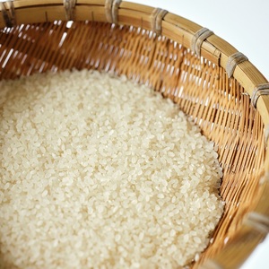 【令和7年度新米先行予約】【令和7年度米】白州産コシヒカリ　特別栽培米　5キロ  おこめ コシヒカリ 山梨県産 もっちり おにぎり お弁当