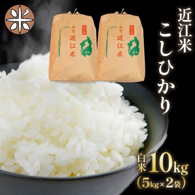 ふるさと納税 竜王町 令和7年産 新米 近江米 こしひかり 白米 10kg