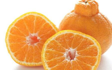 【濃厚】有田産不知火約4kg（M～3Lサイズ混合）