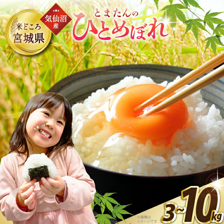 【ふるさと納税】 米 令和7年産 宮城県産 とまたんのひとめぼれ 【選べる内容量】 [サンフレッシュ小泉農園 宮城県 気仙沼市 20565679] ひとめぼれ ブランド米 白米 精米 ご飯 ごはん コメ こめ お米 小分け 家庭用 3kg 5kg 10kg