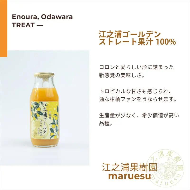 小田原産江之浦みかんジュース５種のみくらべ2０本セット うんしゅう・しらぬい・ゴールデン・なつみ・バレンシアオレンジ１００％ストレートジュース１８０ml各４本合計２０本【みかんジュース みかんジュース