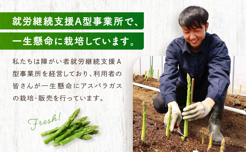 【2025年発送】ひだっこアスパラ 500g | アスパラ アスパラガス 飛騨産 野菜 春  夏野菜  産地直送 新鮮 食品 おいしい 人気 飛騨高山 ひだっこの里 CM007