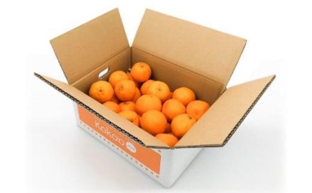 4月発送】カラマンダリン＜お試し＞約3kg 【KK0771_x】