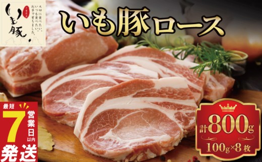 豚ロース 800g 100g×8枚 小分け 冷凍 豚肉 ロース 国産豚 国産 豚 肉 buta ブランド豚 いも豚 いもぶた 銘柄 切り身 切身 とんかつ ステーキ お祝い 贈答 産地直送 千葉県 旭市 旭食肉協同組合 ask003