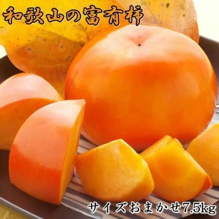  [甘柿の王様]和歌山産富有柿　約7.5kg サイズおまかせ★2025年11月上旬頃より順次発送【TM5】柿