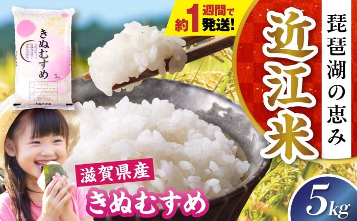 
            【スピード発送】【令和7年産】米 きぬむすめ 5kg 白米 滋賀県長浜市/株式会社コメック [AQDH005] 米 お米 白米 5kg キヌムスメ 滋賀県産 長浜市産 こめ 精米 お米  食品 国産 米ギフト ブランド米 食卓 美味しい 冷めても美味しい 人気 お弁当 和食 琵琶湖の恵み ご飯のお供 上品な 甘み あっさり カレー 丼 卵料理 スピード配送 すぐ発送 すぐ届く 早い
          