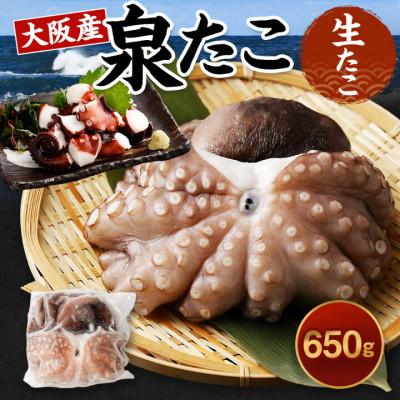 ふるさと納税 阪南市 【2025年8月16日より順次発送】大阪産「泉タコ(生たこ)」650g(1杯〜3杯)