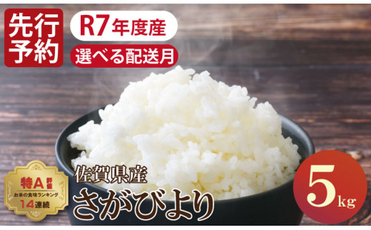【11月出荷】先行予約 佐賀ブランド米「さがびより」5kg（5kg×1）潮風F