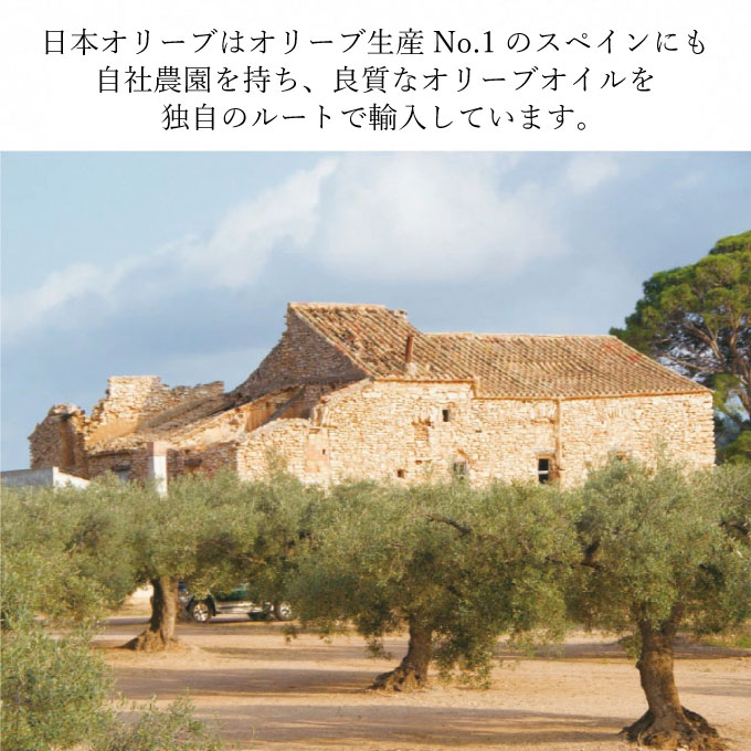 御中元 オーガニック 有機 オリーブオイル 180g×3本 セット 調味料 オリーブ油 フルーティー ブレンド 有機JAS認定 ギフト 