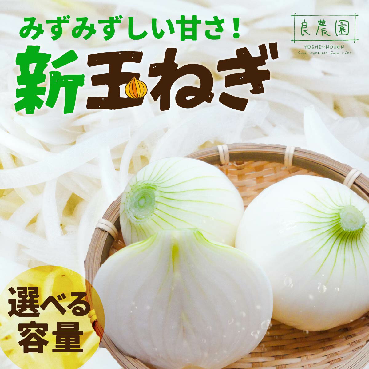 【ふるさと納税】新玉ねぎ 選べる容量 訳あり 5kg 10kg | 玉ねぎ 甘い 産地直送 減農薬 野菜ソムリエ みずみずしい 旬野菜 生野菜 サラダ ギフト レシピ 贈り物 国産 朝採れ 新鮮野菜 産直 良農園 群馬県 前橋市