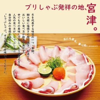 日本三景“天橋立”の旅館組合施設でご利用頂ける【宿泊・食事補助券C】