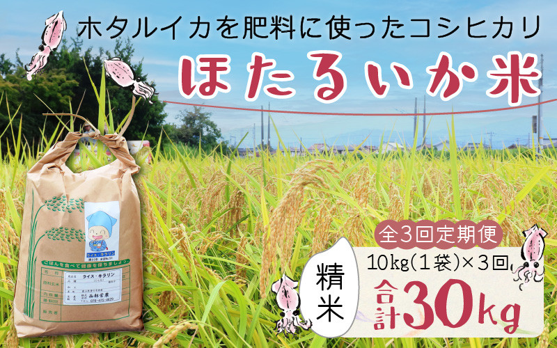 
                  ほたるいか米（精米10kg）×3回 計30kg【3ヶ月定期便】訳あり 米 コシヒカリ こしひかり 頒布会 白米 産直 ほたるいか ホタルイカ お米 ブランド米 富山 滑川 農家直送 お米 おこめ こしひかり ホタルイカ 蛍烏賊 富山県 滑川市 コンシェルジュ 訳あり　kome 10キロ ごはん おにぎり
                