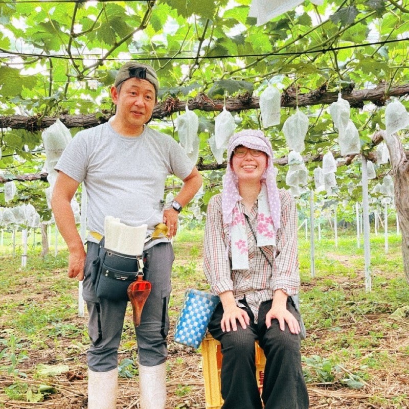 早期受付 ぶどう ピオーネ 約2kg（3～4房）岡山県高梁市産 まつむら農園 個装箱入り 葡萄 ブドウ 贈り物