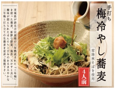 常陸秋そば 手打ち 梅冷やしそば 生蕎麦 4人前_AI080