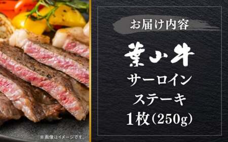 葉山牛 サーロインステーキ 250g×1枚 [ASBD016]