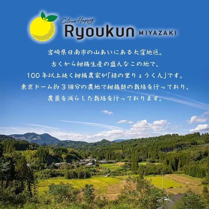 先行予約 希少 グリーンマイヤーレモン 計3kg以上 国産 レモン 果物 くだもの フルーツ_A90-24