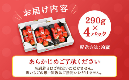 〈数量限定〉【先行予約】さくら市産イチゴ（とちあいか）290g×4パック｜いちご イチゴ 苺 先行予約 栃木県 果物 くだもの フルーツ とちあいか 新鮮 贈答 ギフト ※2025年12月下旬～202
