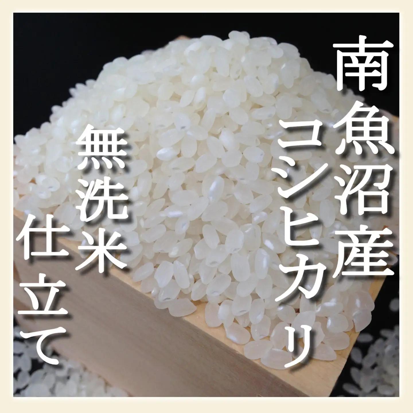 【令和7年】【定期配送8Kg×全6回】吟精 無洗米 南魚沼産コシヒカリ｜コシヒカリ