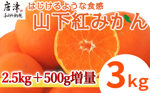 
山下紅みかん(ハウス栽培) 唐津産 3kg ミカン 蜜柑 果物 フルーツ
