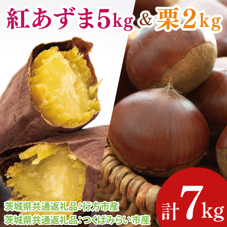 【先行予約】【2025年9月より順次発送】紅あずま5kg と 栗2kg（茨城県共通返礼品：行方市、つくばみらい市）｜さつまいも サツマイモ べにあずま くり セット 数量限定 茨城県 大子町（CD122）
