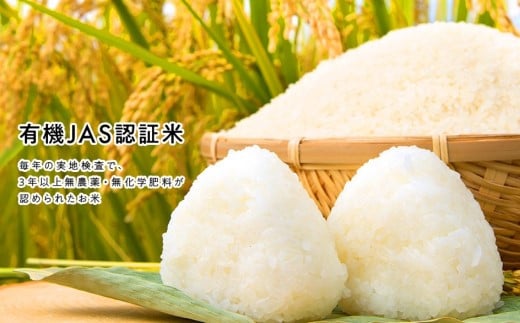 【新米先行予約】令和7年産 新米 有機栽培米 コシヒカリ 10kg 【玄米】