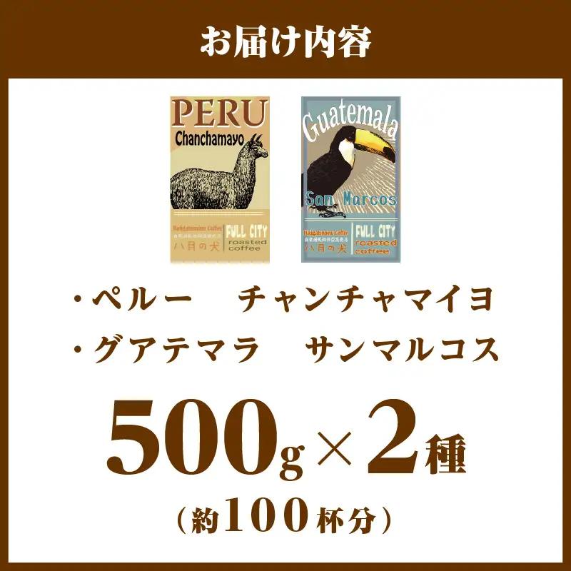 コーヒー豆 飲み比べ 500gx2種 コーヒー豆
